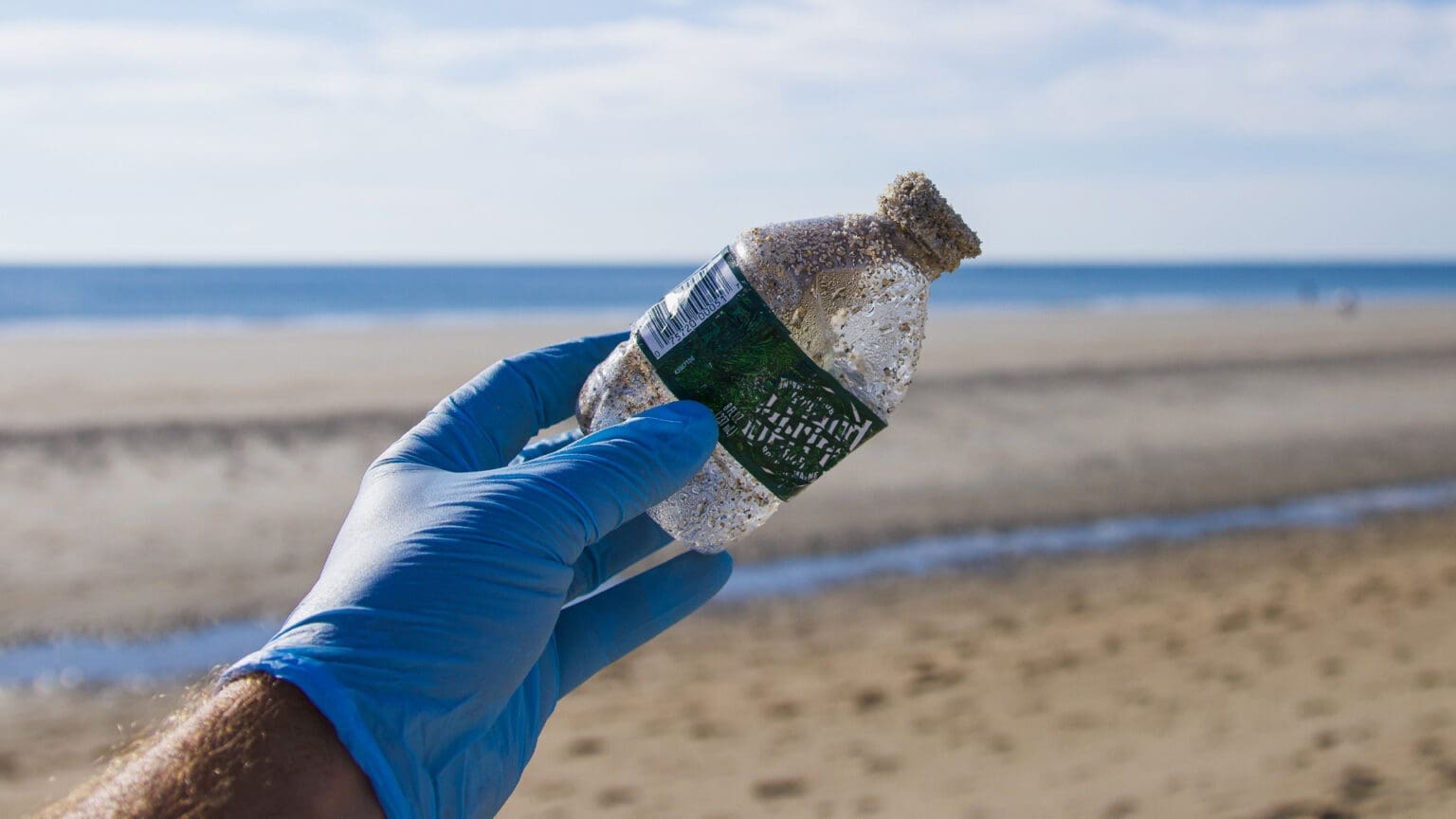 A Importância da Integração Social e Desenvolvimento de Aptidões Profissionais nas Praias da Arrábida