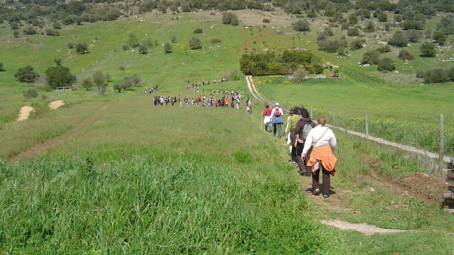 Comece o ano em movimento com as Caminhadas Desportivas “Mexa-se em Palmela”!