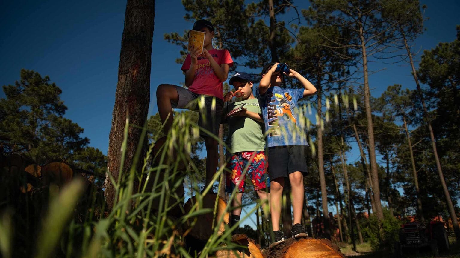 Alegria e Aprendizagem: O Campo de Férias Perfeito para Crianças em Seixal