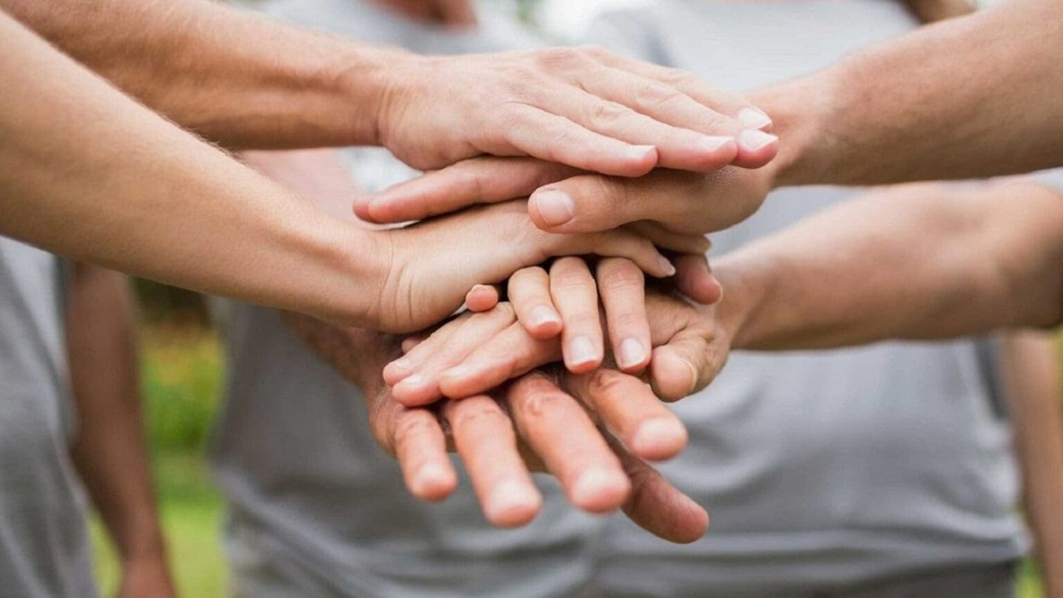 Feira de Voluntariado do Seixal: Unindo Esforços para Criar um Mundo Mais Solidário