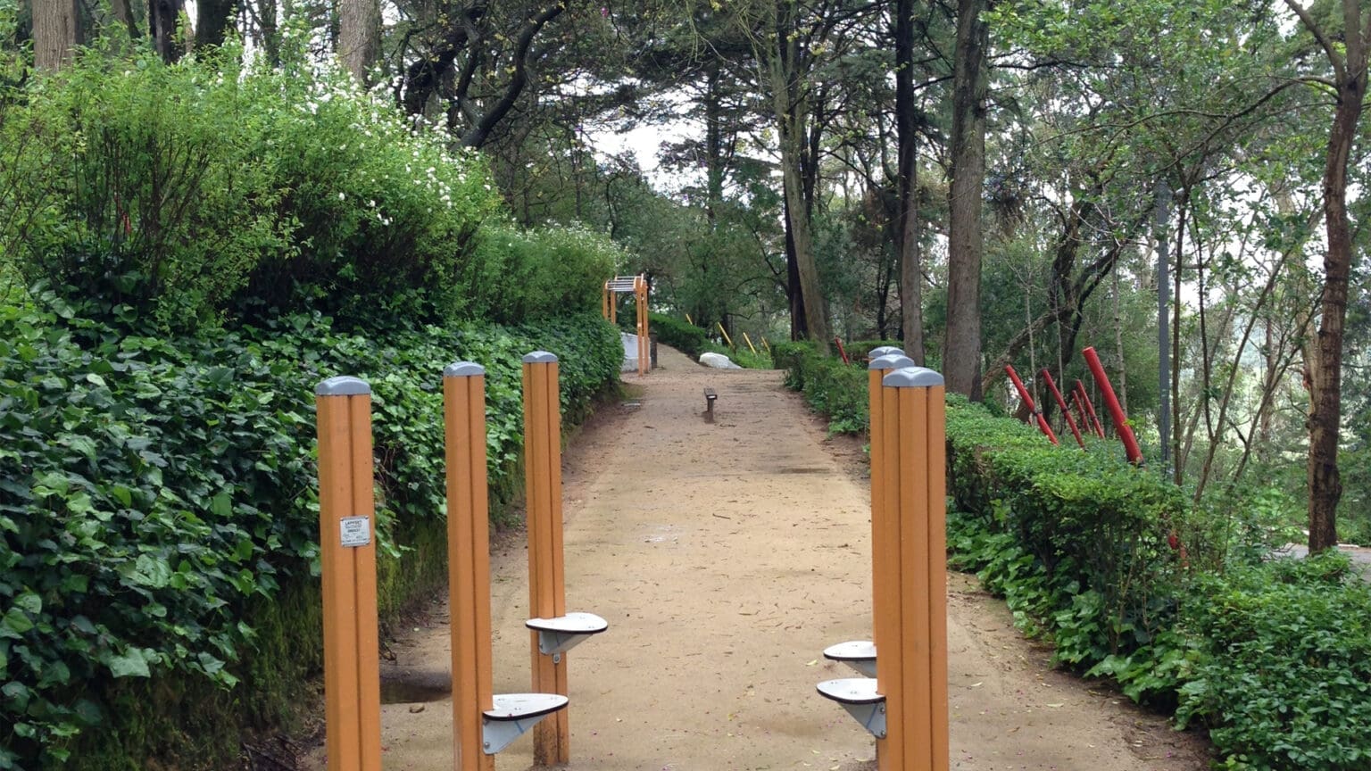 “Férias na Natureza” estão de volta em Palmela