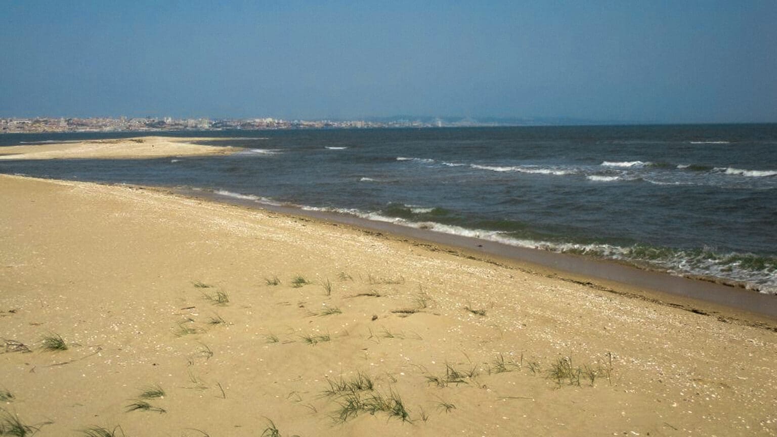 Descubra a Riqueza Natural e Histórica da Ponta dos Corvos numa Caminhada em Seixal