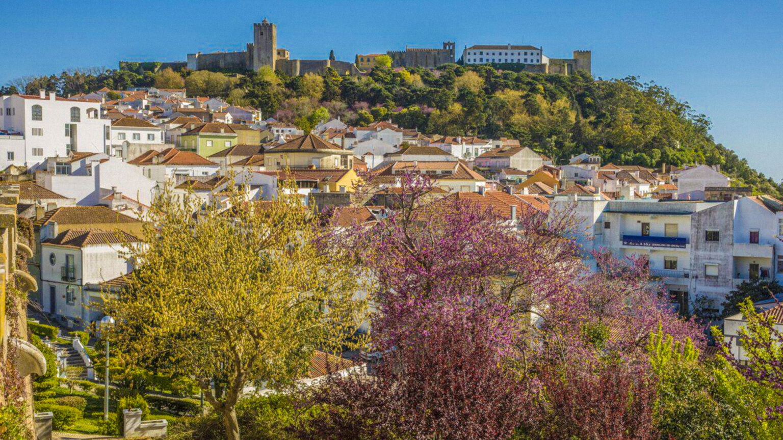 Fórum Turismo Palmela: Explorando a Conexão entre Turismo e Paz