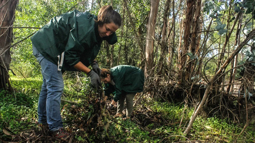 Voluntariado Ambiental