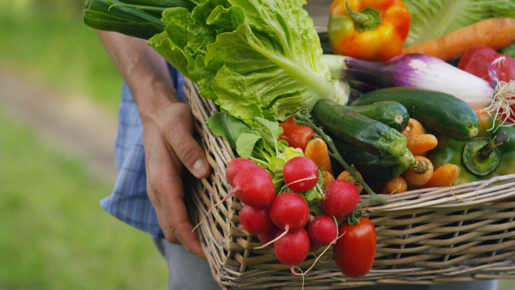 Seixal Green Market