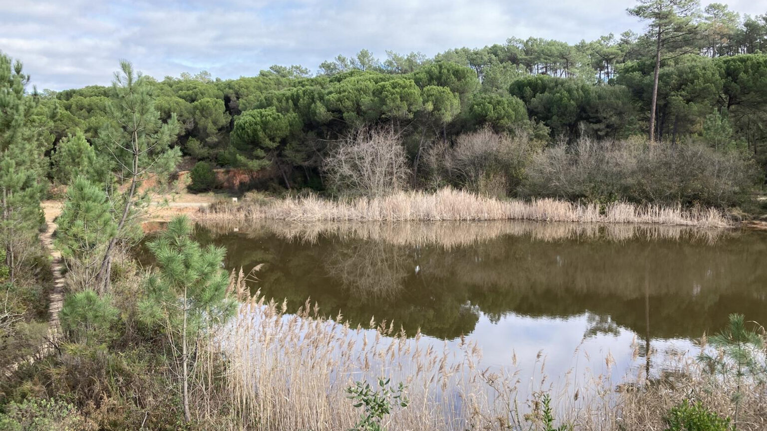 Desfrute da natureza no Barreiro ao longo dos próximos meses